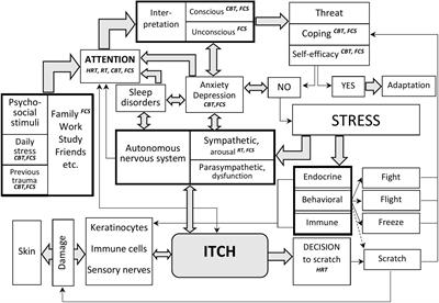 Psychologic interventions in patients with the chronic dermatologic itch in atopic dermatitis and psoriasis: A step forward with family constellations seminars